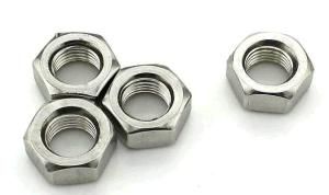 Stainless Steel 304 18-8 Hex Nylon Locked Nuts with Blue Rubber Ring DIN 985