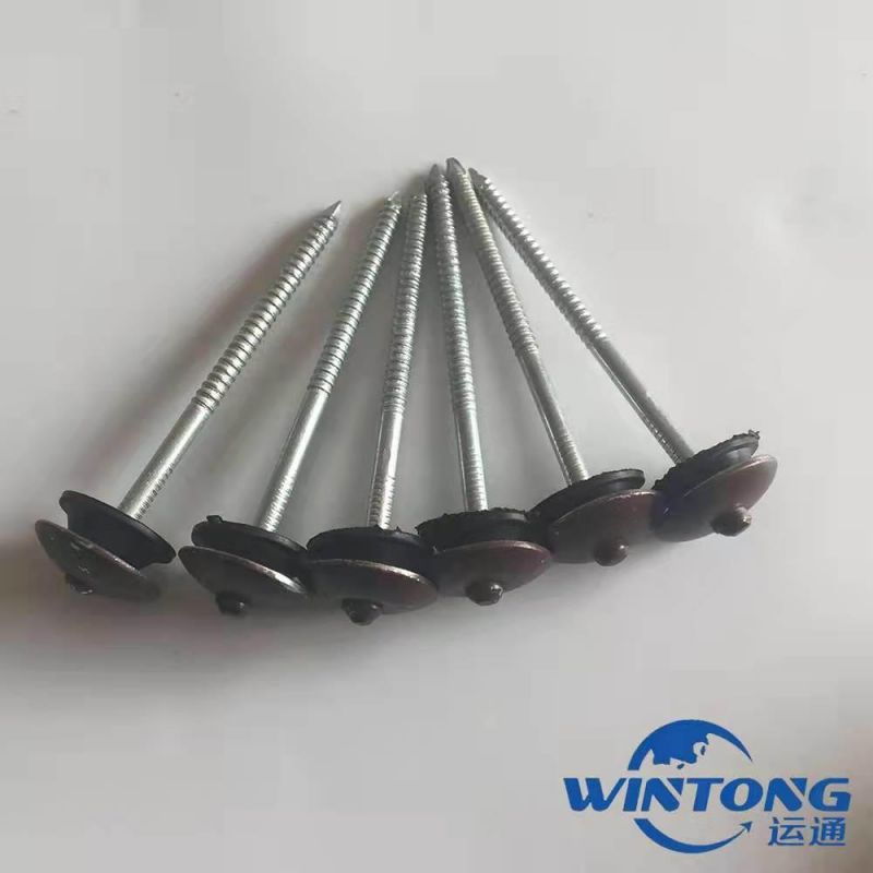 Roofing Nail, Galvanized Umbrella Roofing Nails, Polished Corrugated Nails