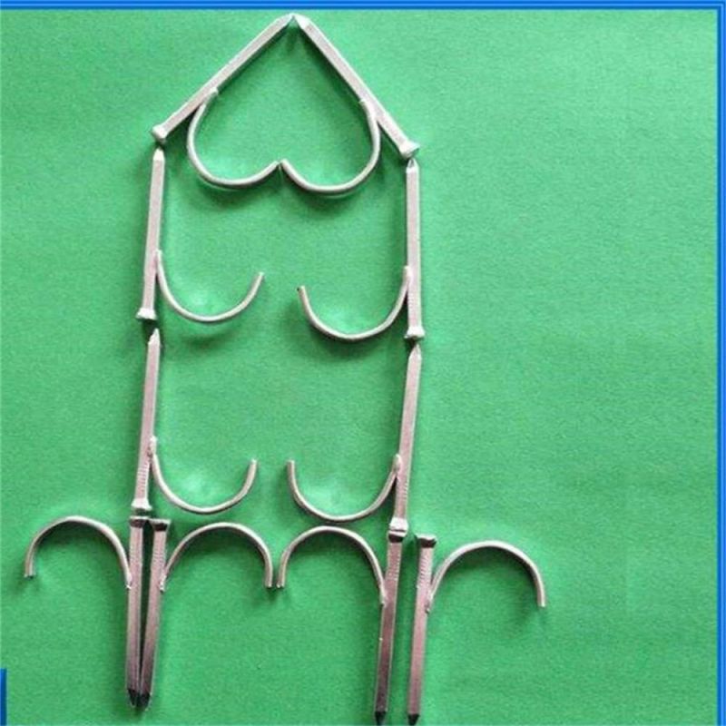 Metal and Dard Galvanized PPR Water Pipe Square Hook Steel Nail
