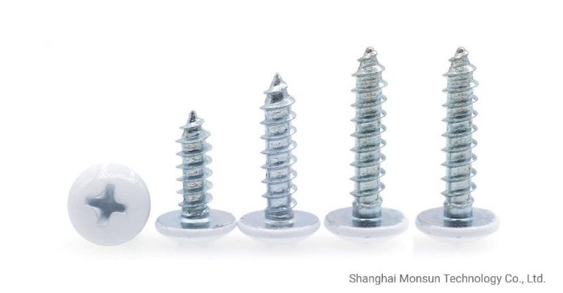 Painted Mushroom/Flat/Pan Head Bright Zinc Self Tapping Screw for Metal