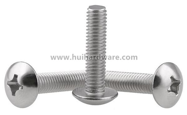 Stainless Steel 304 Philips Truss Head Machine Screw with Passivated