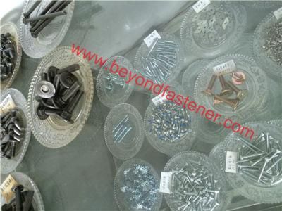 Special Screw /Step Bolts/Special Bolts/Screw Female Screw