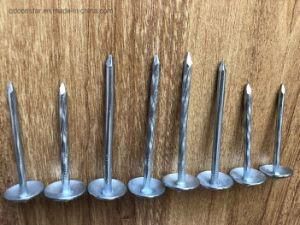 Good Quality Electric Galvanized Umbrella Roofing Nail with Smooth Shank