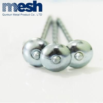China Corrugated Hardware Fastener Umbrella Head Roofing Nail with Rubber Washer