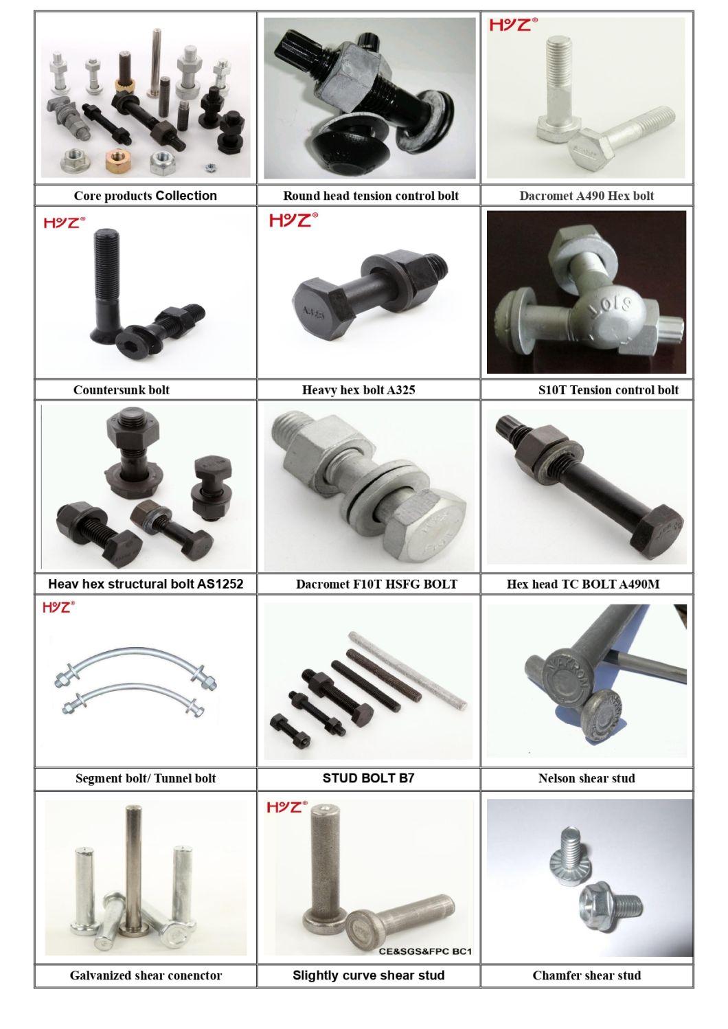 High Strength Tension Control Bolt Tc A325 Bolt