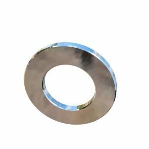 High Quality Gr2/Gr5 Titanium Flat Washer