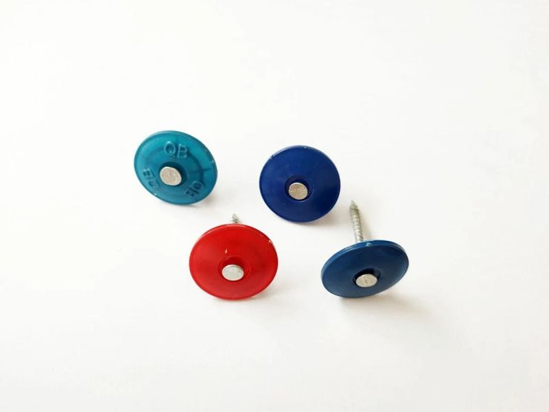 Colorful Cap Nails/Plastic Cap Nails Factory