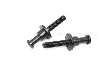 Galvanized Black Zinc Plated Customized Screw/Bolt