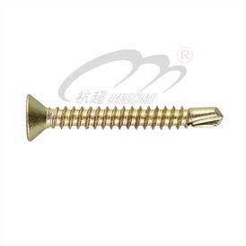 Flat Head Self Dilling Screw (DIN7504P)