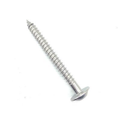 A4-80 A2-70 304 316 Pan Head Phillips Cutting Tail Stainless Steel Self Tapping Screw
