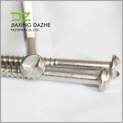 Stainless Steel Screw One Way Screws Machine Screw Self Tapping Screw