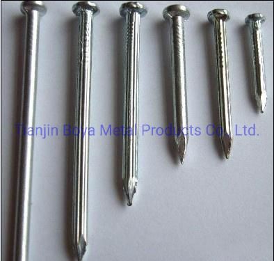 Construction Nails, Steel Concrete Nails, Common Iron Nail for Building Construction