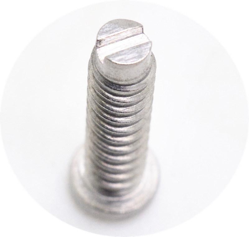 Stainless Steel 304 or 316 Courtyard Discharge Locking Screw