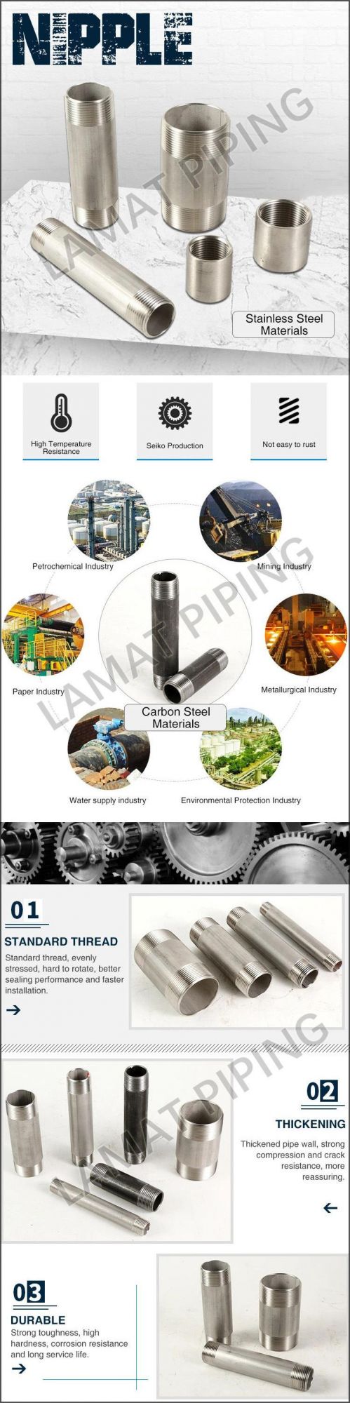 En10241 Galvanised Wrought Steel Fittings Sch40/Sch80/Sch160 Back Nut
