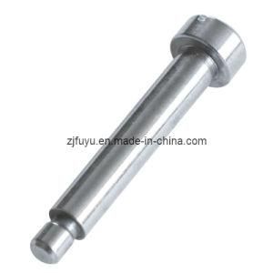Special Slotted Fillister Captive Screw (FYSF-0032)