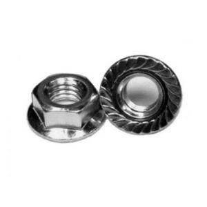 DIN6923 Yz White Zinc Palte or Black Hex Flange Cap Serrated Lock Nut