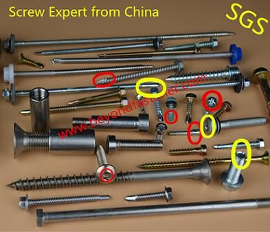 Wing Tek Screw Roofing Screw
