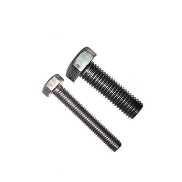 Stainless Steel All Kinds of Screws and Bolts