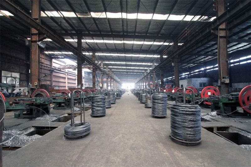 Factory Wholesale 1"-4" Box Packing Qualified Zinc Coated Electric Galvanized / Black Concrete Nails for Africa Nigeria / Ethiopia Market with White Blue Color