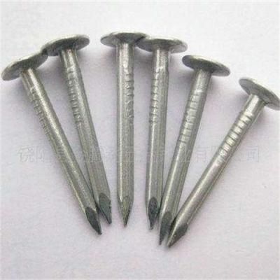 Large Cap Linoleum Nail Galvanized Surface Linoleum Nail