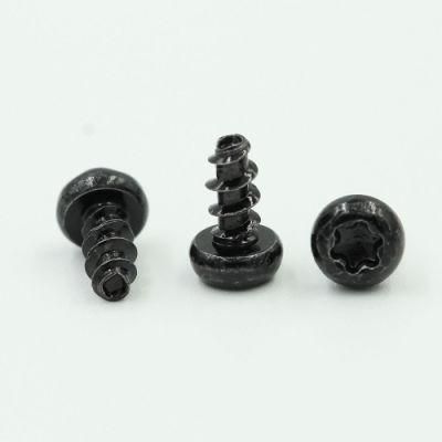 Black Pan Head Torx Self Tapping Screw with Flat Tail