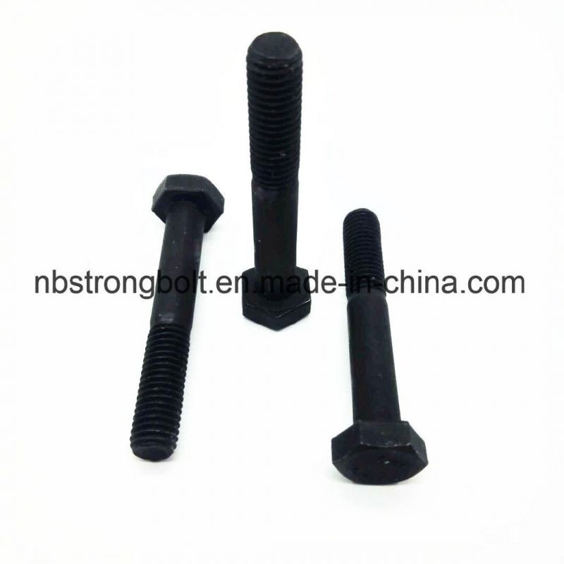 DIN933 Gr. 10.9 Hex Bolt Screw with Black