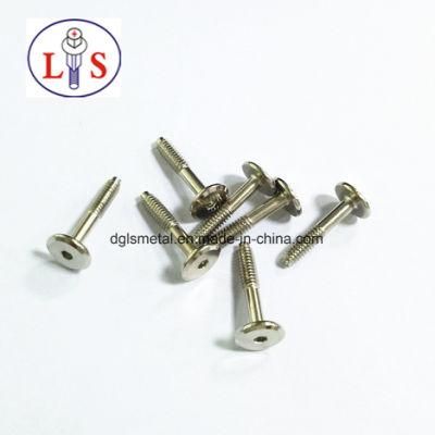 Flat Head Inverted Hexagon Socket Bolt with Dog Point