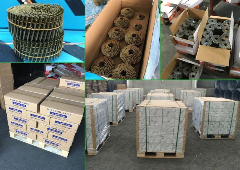 15 Degree Plastic Collated Nails