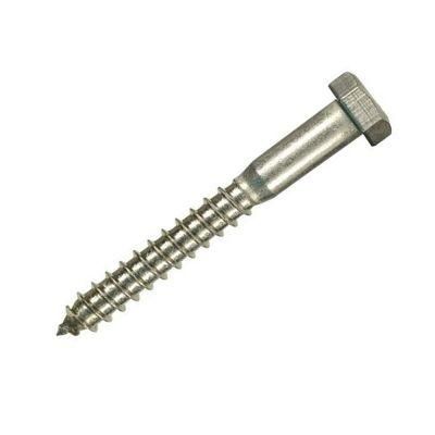 Square Head Carbon Steel Plain Lag Bolt Coach Screw