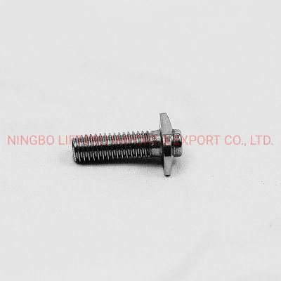 Customized High Strength Special Head Bolt OEM/ODM Stainless Steel Bolt SS304 SS316