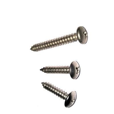Screw Manufacture Custom Self Tapping 304 316 A2-70 Stainless Steel Screws Pozi Countersunk Head Chipboard Screws