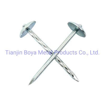 Nails Roof Nails 2inch for House Roof Electric Galvanized Big Head