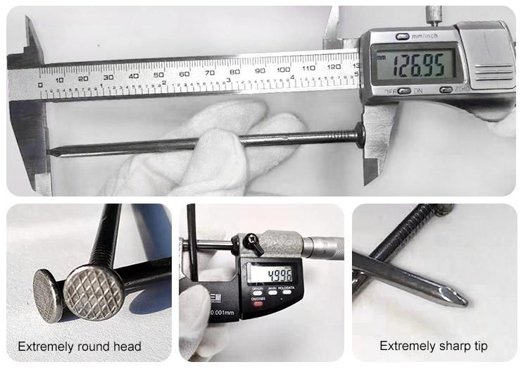Q195 Iron Wire Common Nail with Factory Price