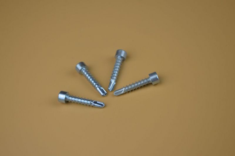 Ruspert Screw/ Wood Screw /Double Thread Screw