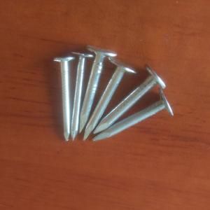 Linyi Factory 1 Inch Eg Big Flat Head Clout Roofing Nail