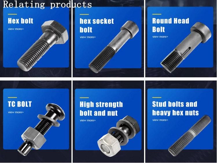 Professional Gi Fastener Manufacturer Tensile Control Bolt Different Types Nuts Bolts with High Strength Made in China