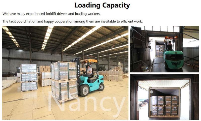 Galvanized Twisted Shank Umbrella Head Roofing Nails Corrugated Nails