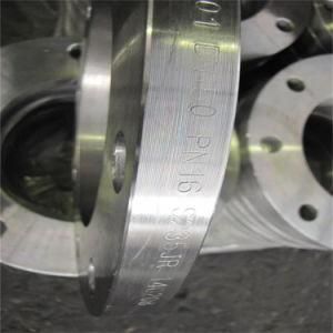 Q235 Steel Forged Flange