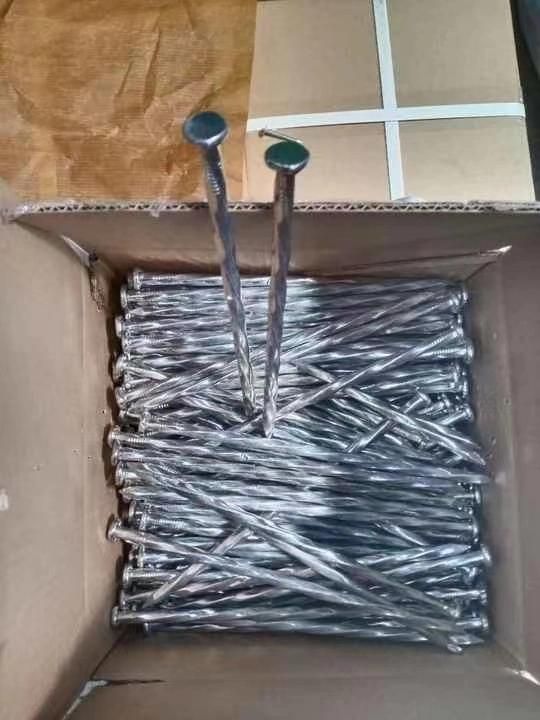 Galvanized Wood Screw (Low price)