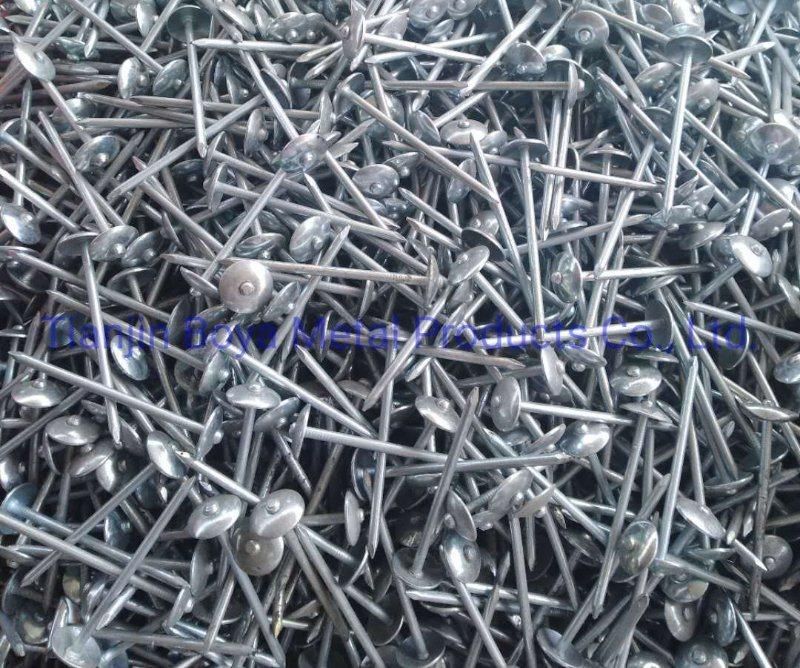 Factory Manufactured Cheap Price 3.125kg/Box X 8boxes/CTN 10bwgx2 1/2" 12bwgx2" Galvanized Roofing Nails with Smooth Shank Umbrella Head for Africa Market