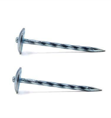 Umbrella Head Twisted Shank Roofing Nails Common Nails
