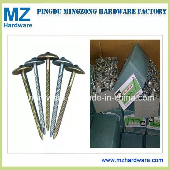 Umbrella Head Roofing Nail with Rubber Washer
