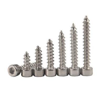 Obm/ODM/OEM Nickel-Plated Hexagon Socket Head Self-Tapping Screws