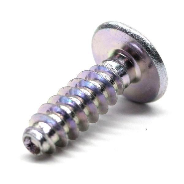 Vehicle Processing High Quality Stainless Steel Hardware Screw