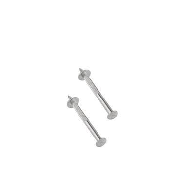 Shooting Nail with Washer