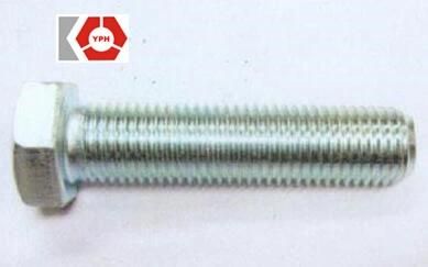 HDG Hexagon Head Screws DIN558
