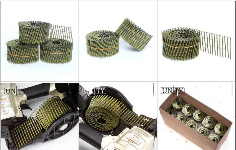 Screw Shank Coil Nails for Pallets Producer