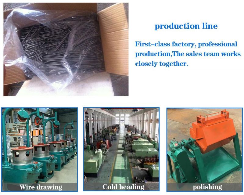 Round Head Galvanized Polished Iron Nails/ Round Nails