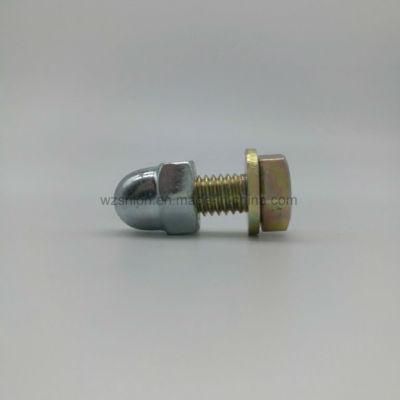 Hex Cap Nut and Hex Head Bolt Bolts and Nuts