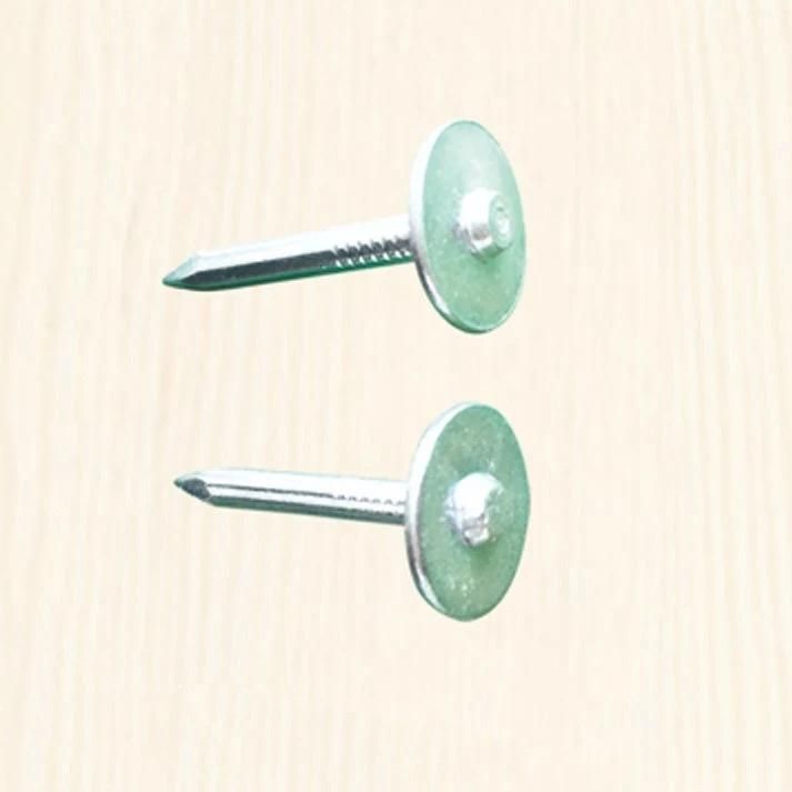 Vertical Thred Round Cap Washer Nails